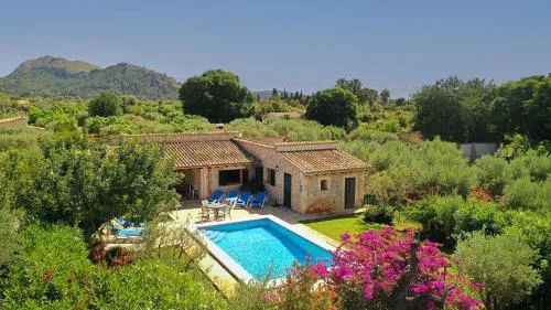 Oliveres