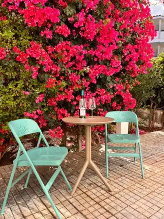 Buganvilla Garden Puerto de la Cruz