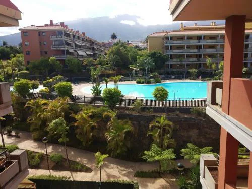 Gavilán
