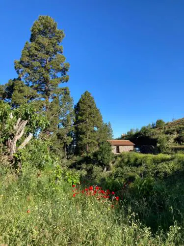 Bodega Linda