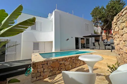 Casa Palm Tree