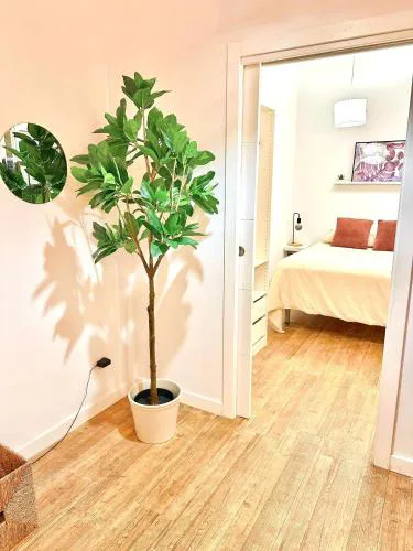 Apartamento en el corazón de Santa Cruz