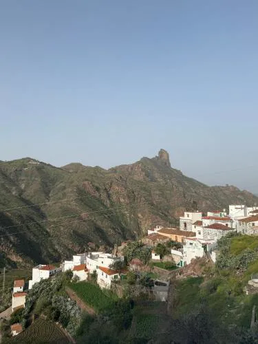 Nature in Tejeda 2