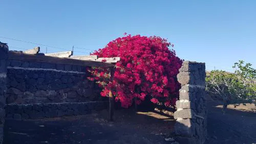 Finca Relax, Sea View, Oasis Vasiliko, La Asomada