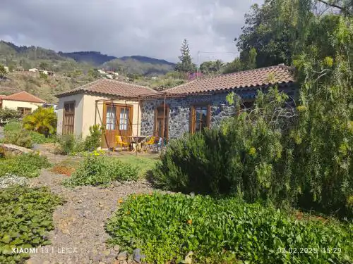 Casa Gecko