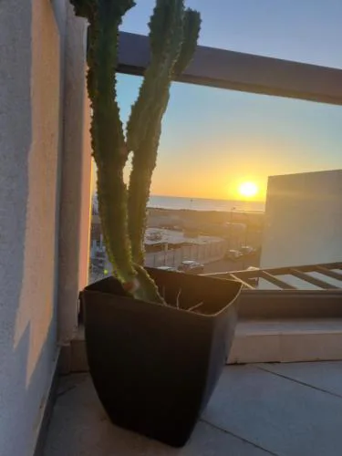 Azotea de Cotillo