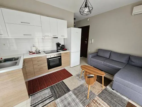Ioannina city center - Michelangelo Apartments - B2
