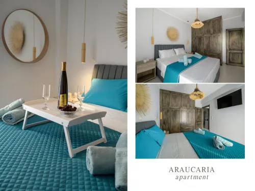 Araucaria Queen
