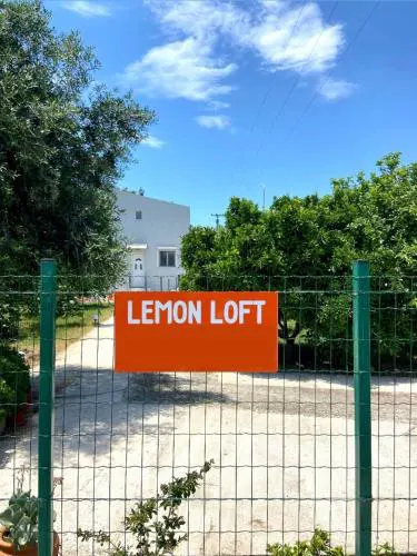 Lemon Loft
