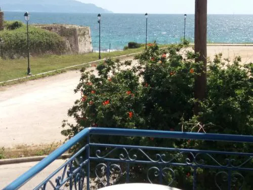Nestor Sea Studio