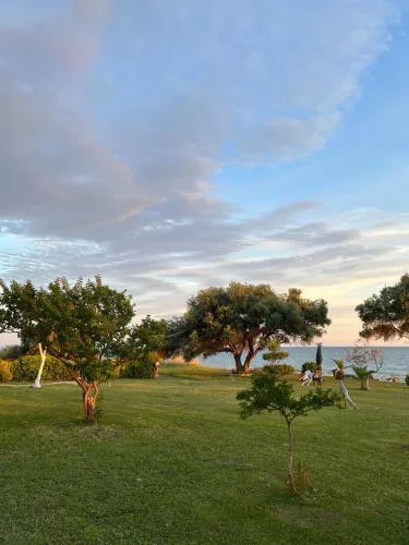 Physis Seaside Living