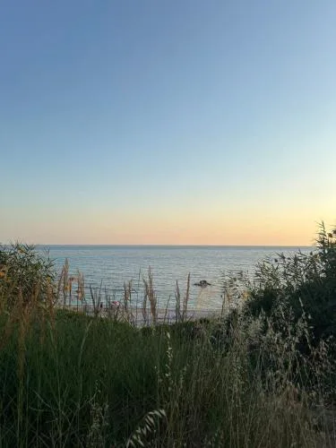 Olive House Seaside