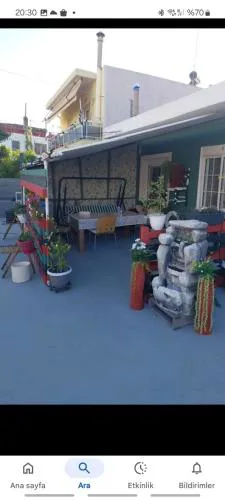 Alex Home 2