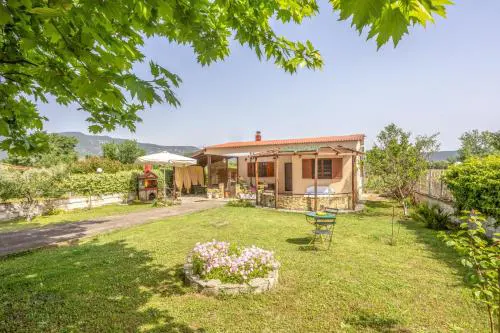 Platanus Retreat