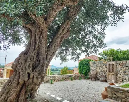 Calma Estate