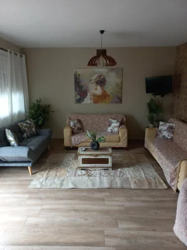 Vaios House