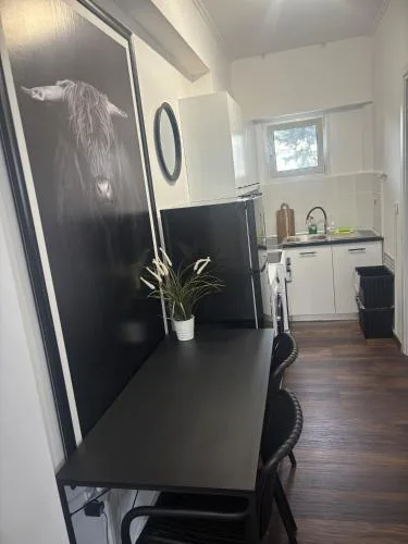 Art decor luxury apartment