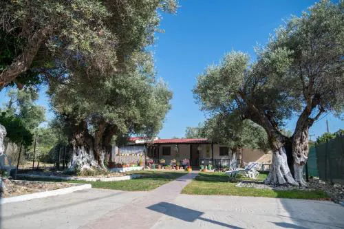 Dimitra's Apartment