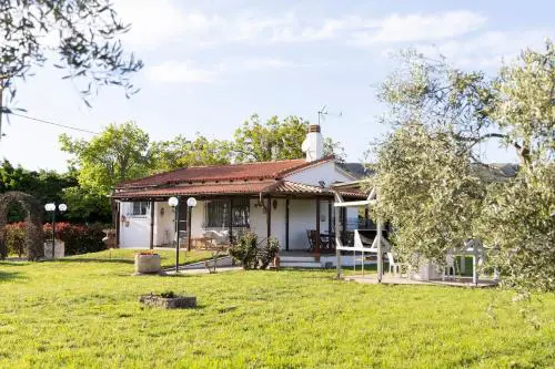 Theros, garden and sea
