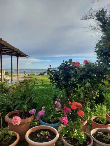 Villa Apostolos