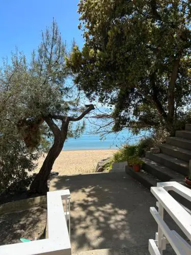 Secret Bay