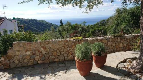 Olive Tree House