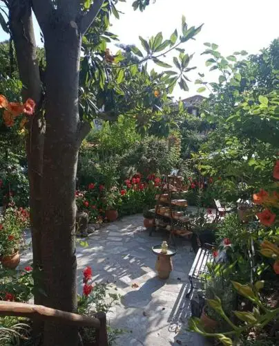 Stamatia's Garden