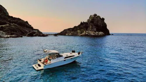 Our Cruises
