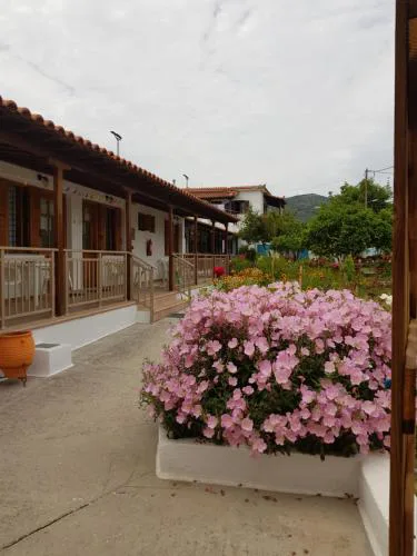 Asimina's House