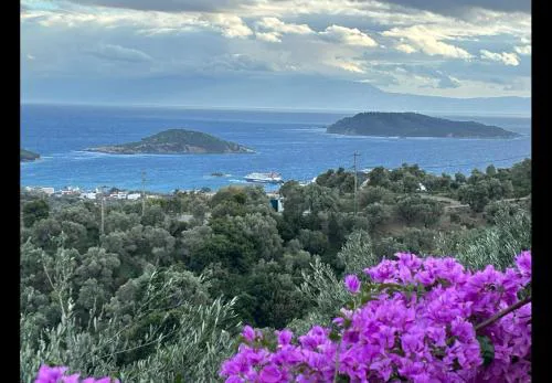 Tierra 1