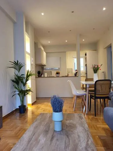 2 bd renovated flat at acropolis