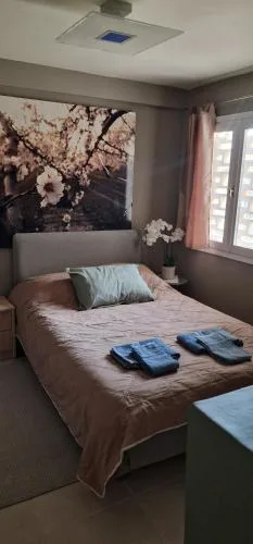 A Cozy Affordable Place at Voula