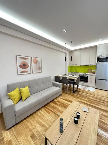 A fully renewed modern apartment