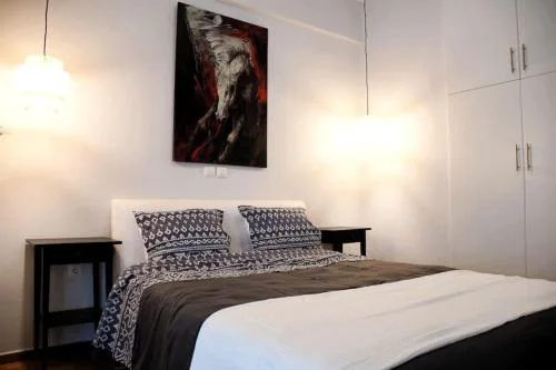 central Athens apartment near Kallimarmaro hosted by vasiliki