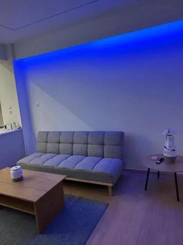 City Center Gem - Renovated and Affordable
