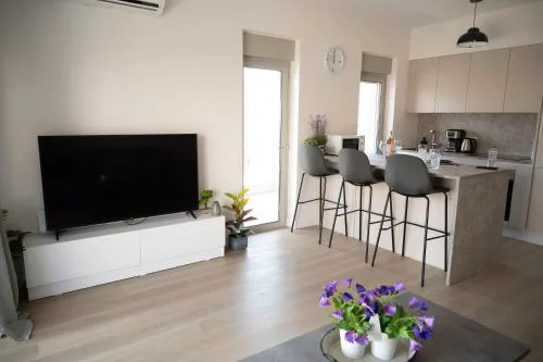 Elegant and cozy flat near Pagrati region (D1)