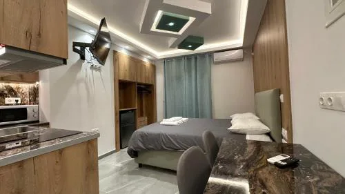 Luxury Semi Basement Apartment with Terrace