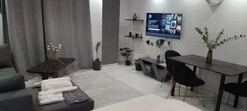 Luxury Semi-Basement Suite Athens
