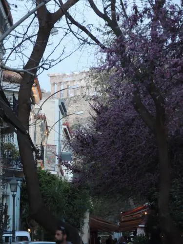 Soho Athene Apartment