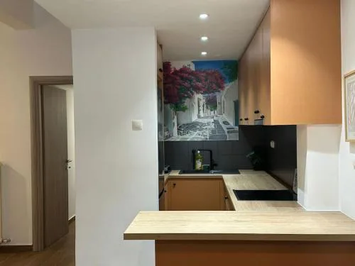 Spacious stulish 2 bd flat