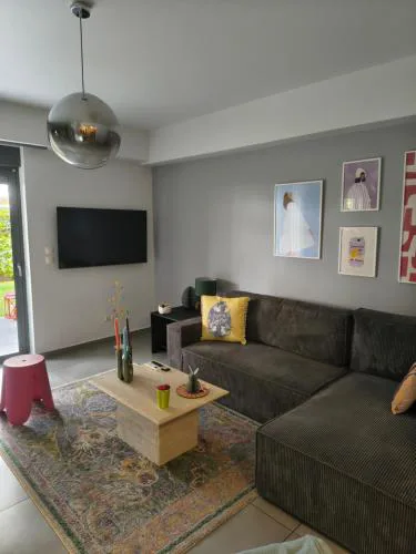 The elegant urban apartment