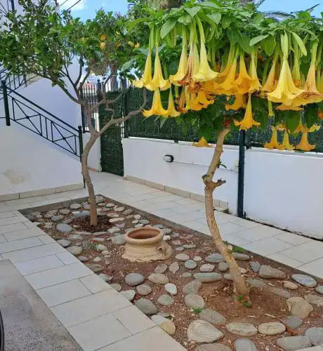 Dimitris place near Athens airport