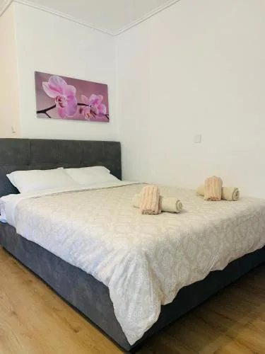 Alex Comfort Room