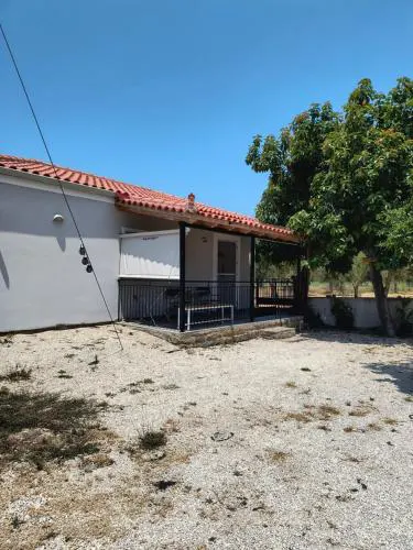 Avocado house