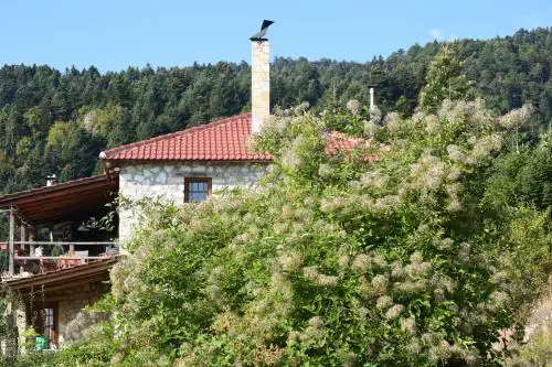 Arli House
