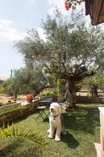Small paradise in Saint Nicolas Village !