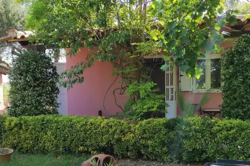 Lea's Apartment