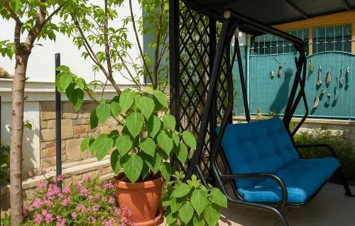 Urban Seaside Oasis - Adriana's Garden Paradise