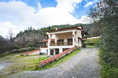 Michel Studios