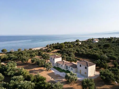 Olive Coast Houses